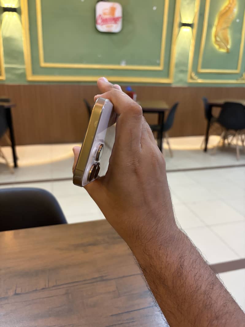 Apple iPhone 16 Pro Max 1