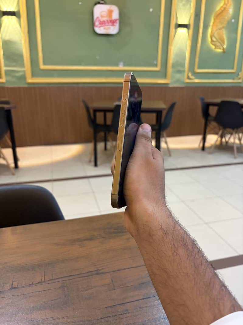 Apple iPhone 16 Pro Max 5
