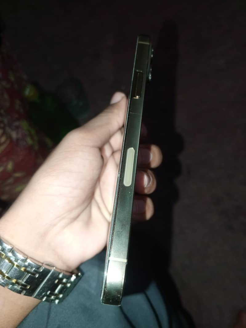 Apple iPhone 13 Pro Max 1