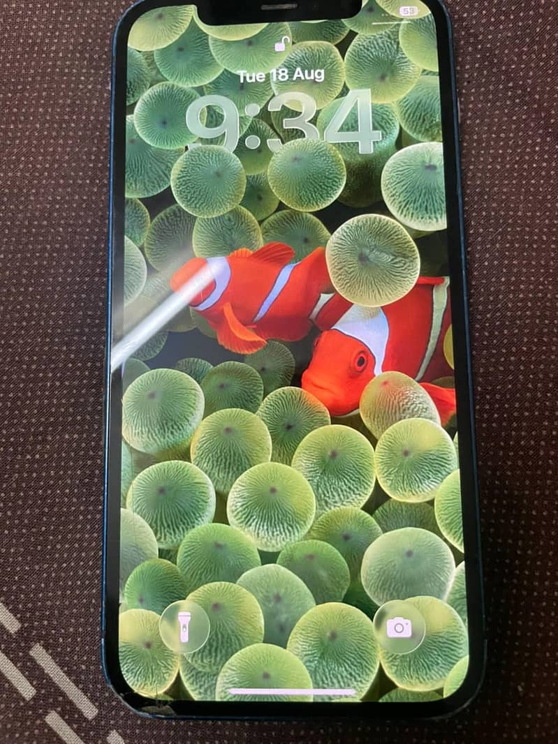 Apple iPhone 12 1