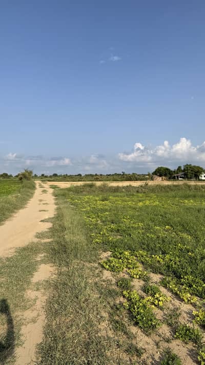 133 kanal in kalar kahar