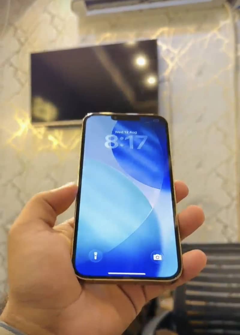 Apple iPhone 13 Pro Max 1