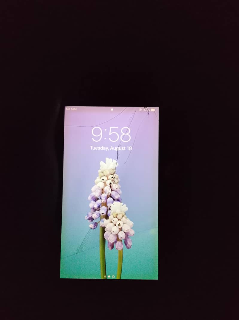Apple iPhone 6 Plus 2