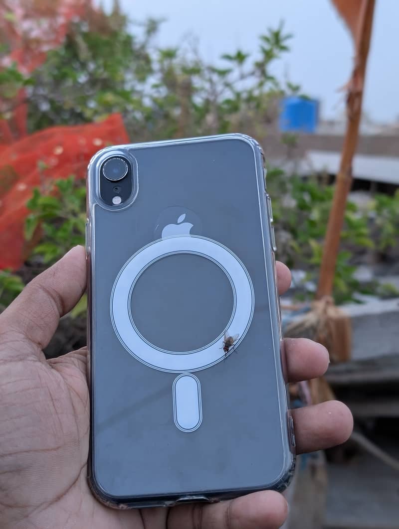 Apple iPhone XR 5