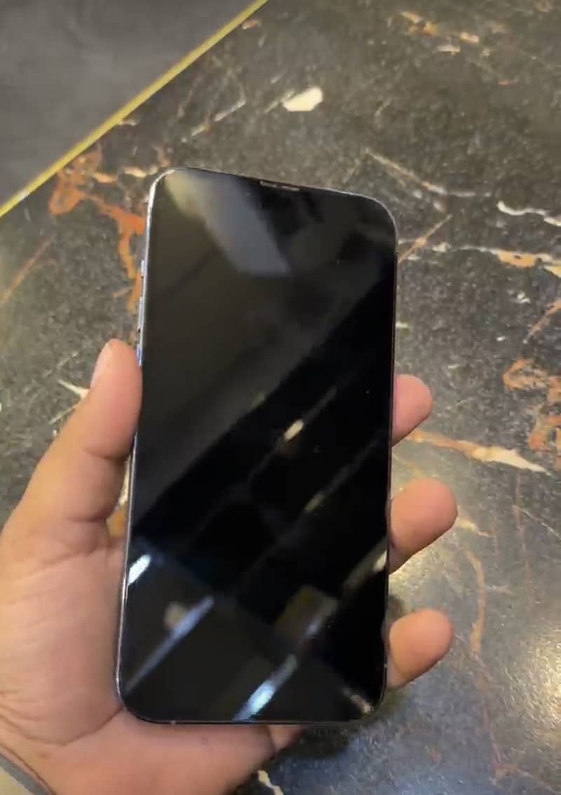 Apple iPhone 13 Pro Max 3