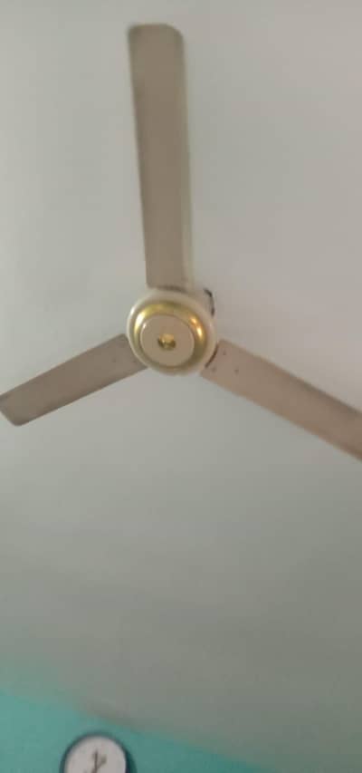 5 celling Fan different brand