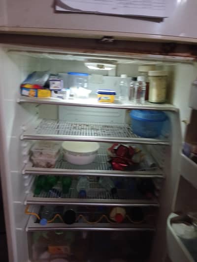 Fridge