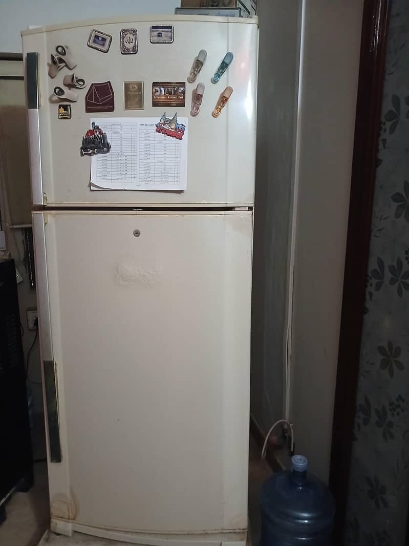 Fridge 1
