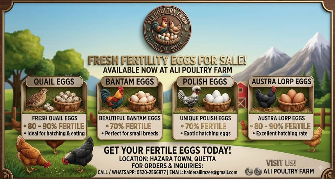Bantam,Asterlorp,Polish,Quail Fertile eggs available 0