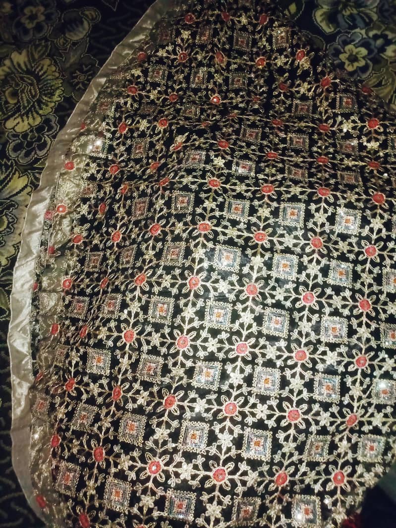 mexi long 6