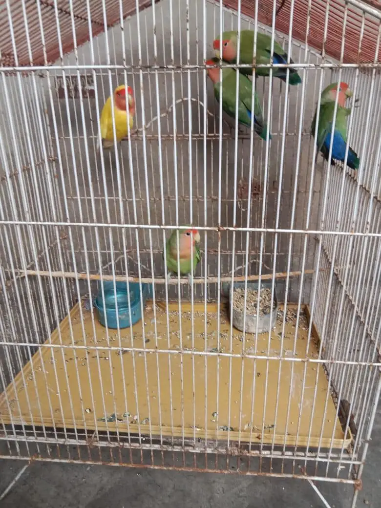 urgent sell — photo 2