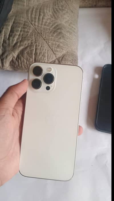 Apple iPhone 13 Pro Max