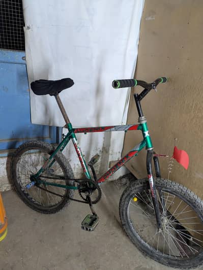 Phoenix Bicycle - Lahori Single Frame (Good Condition)