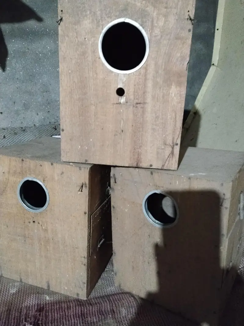 love bird box for sale — photo 2