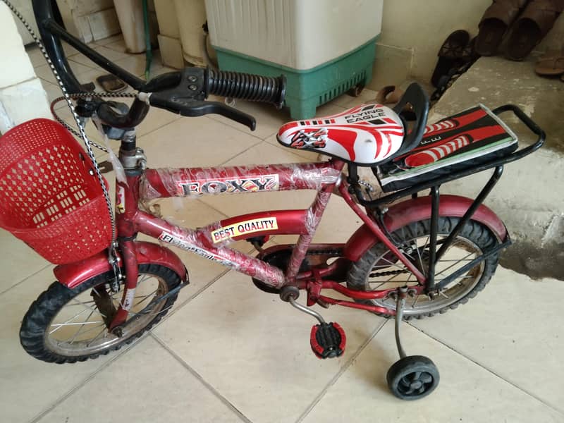 Cycle 3