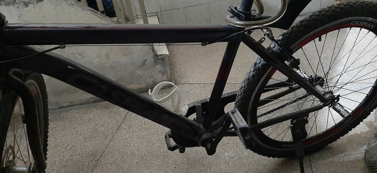 Caspian cycle 1