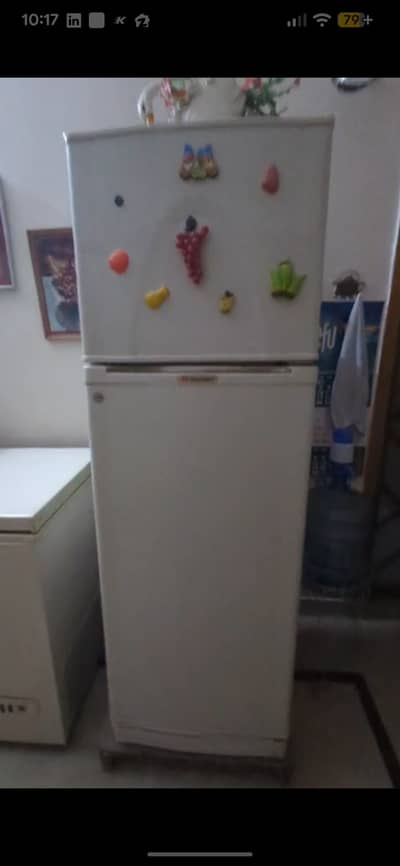 Dawlance Refrigerator + Deep Freezer for Sale – Package Deal