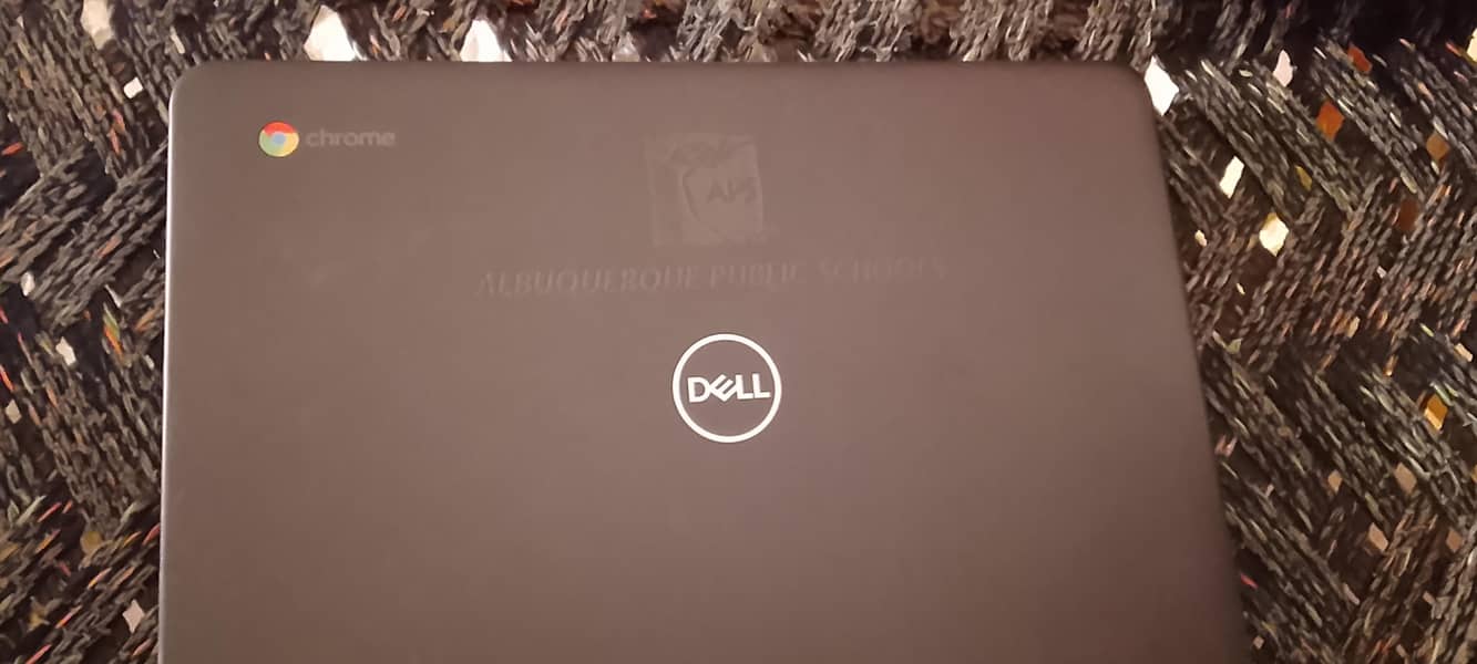Dell 3100 0