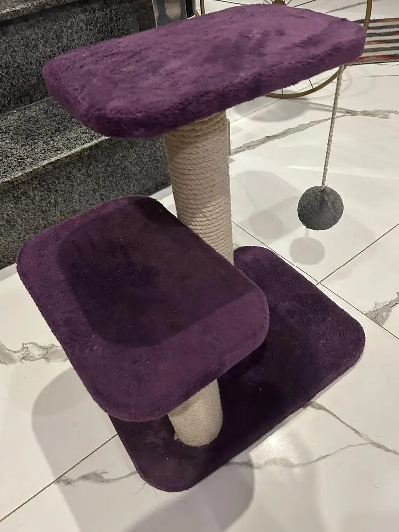 brand new cat scratcher for kittens — photo 2