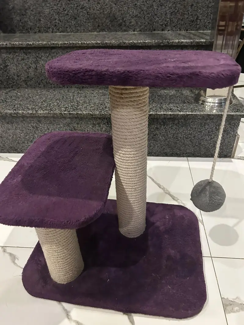 brand new cat scratcher for kittens — photo 3
