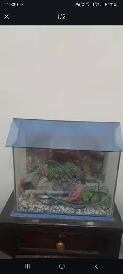 aquarium for sale