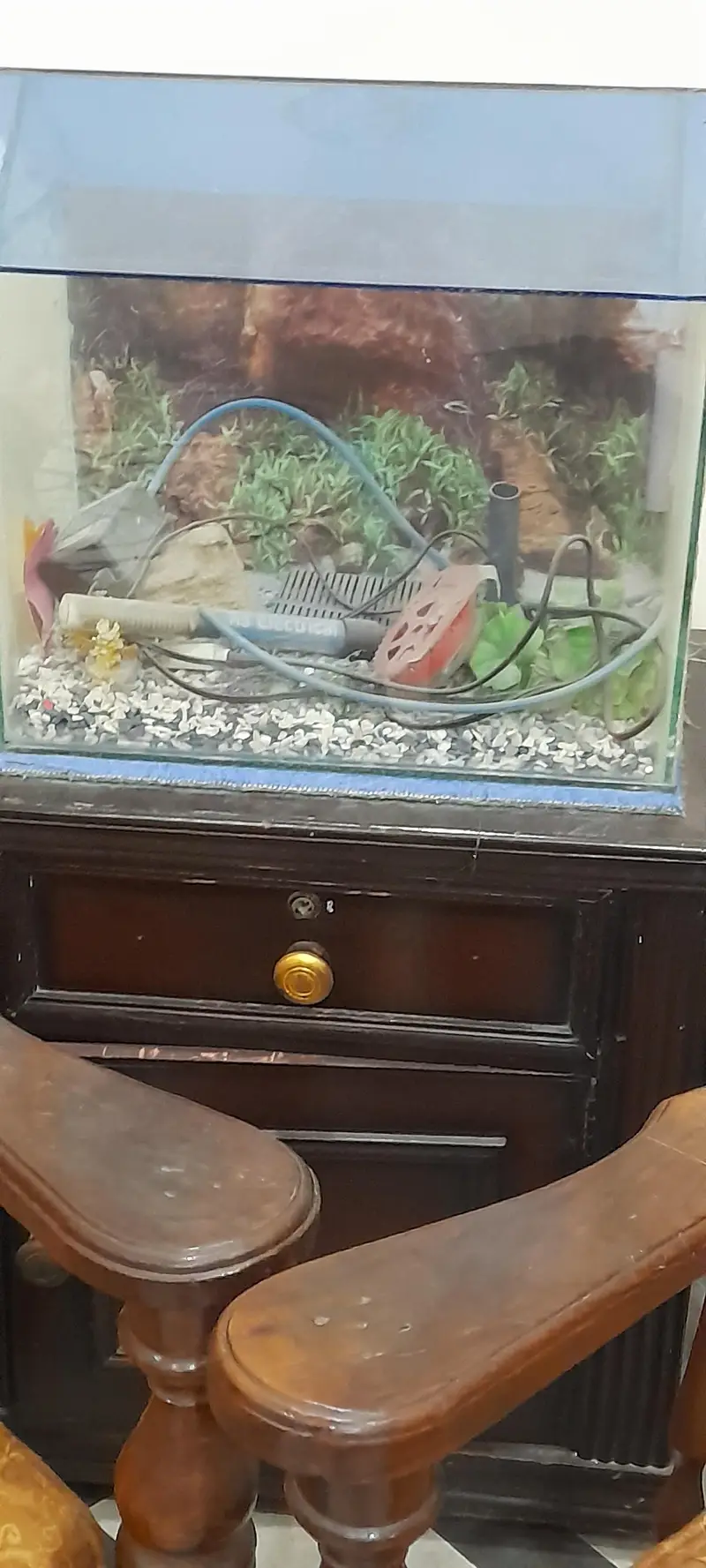 aquarium for sale — photo 2