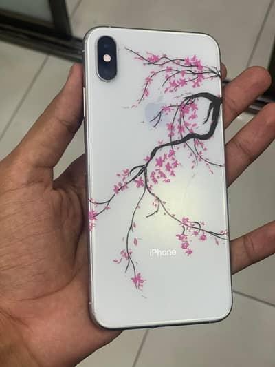 Xs max 512gb