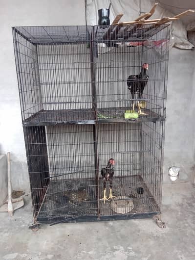big size or heavy weight cage for sale