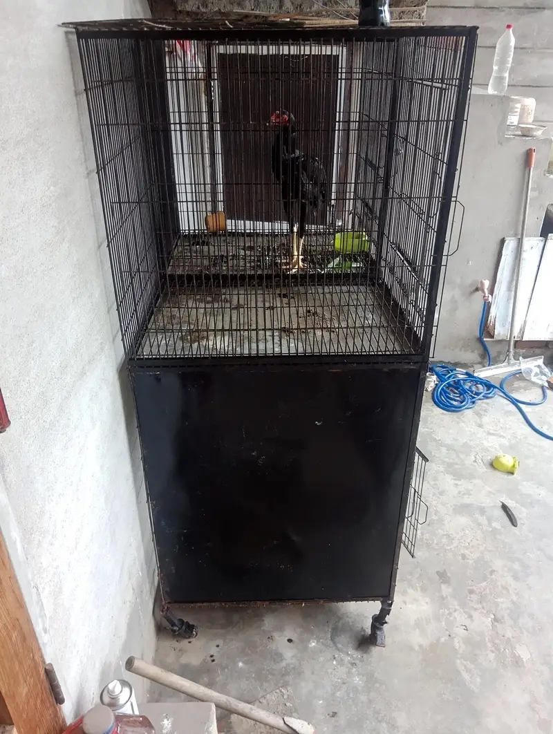 big size or heavy weight cage for sale — photo 2