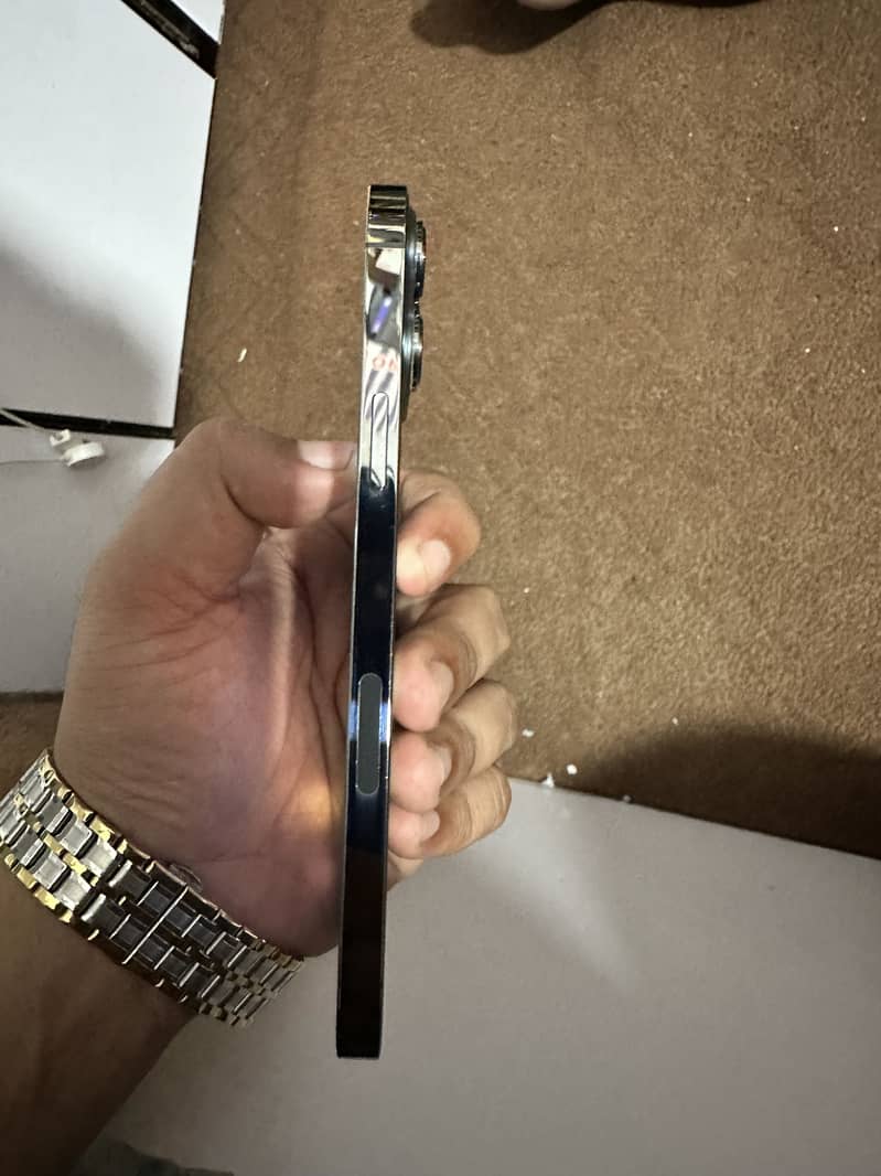 Apple iPhone 13 Pro Max 1
