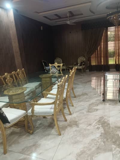 Brand New Type Double Kitchen House