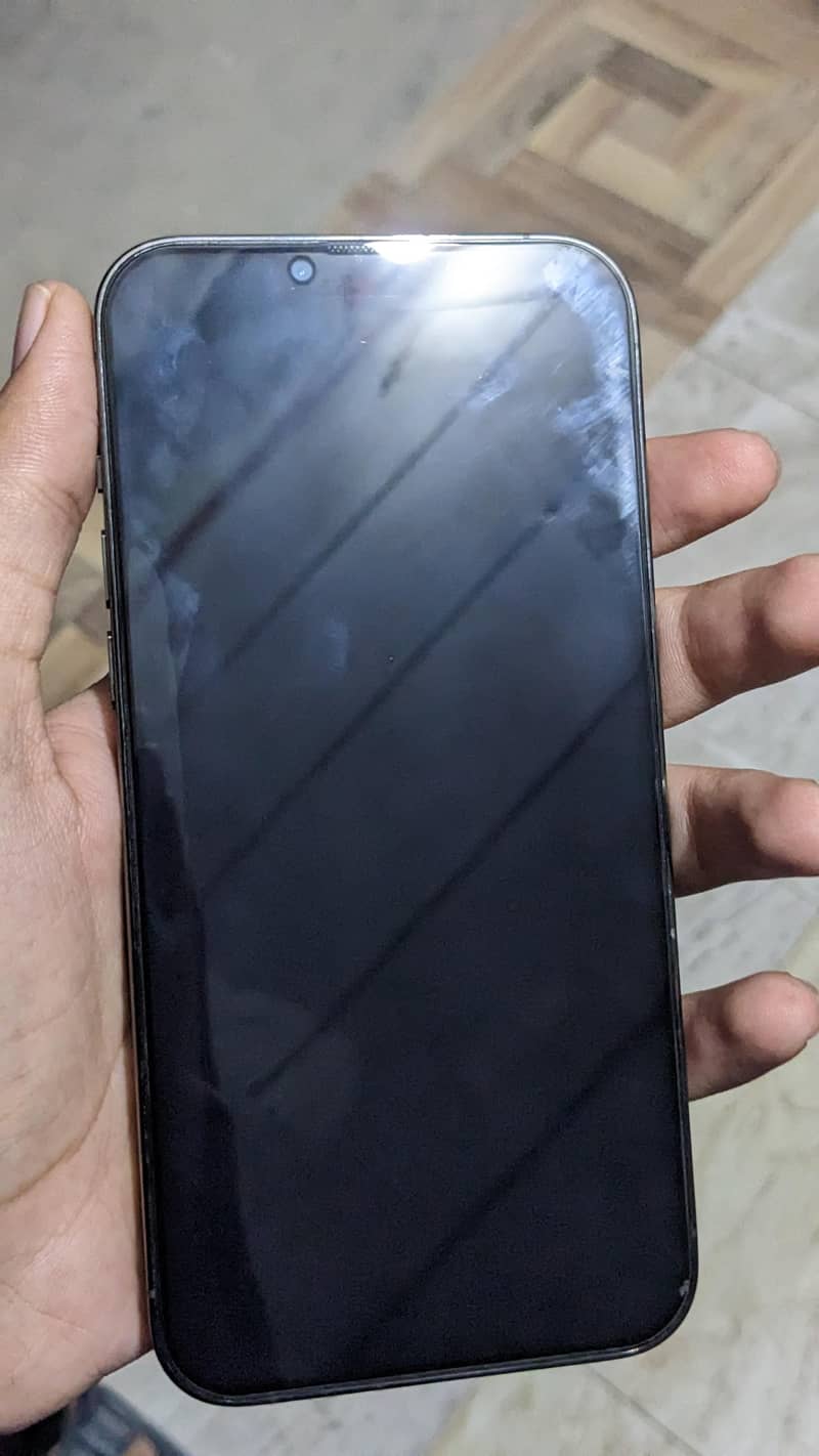 Apple iPhone 13 Pro Max 1