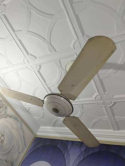 Ceiling Fan (Burewala)