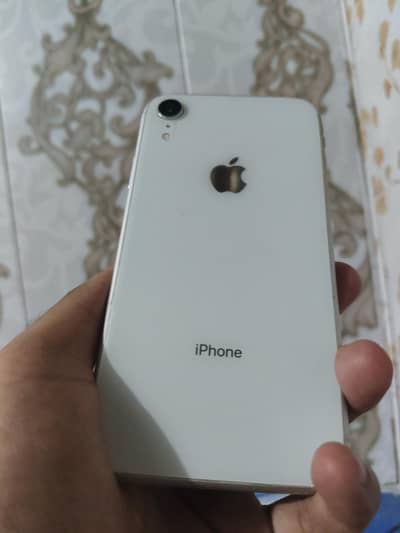 Apple iPhone XR jv pata approve