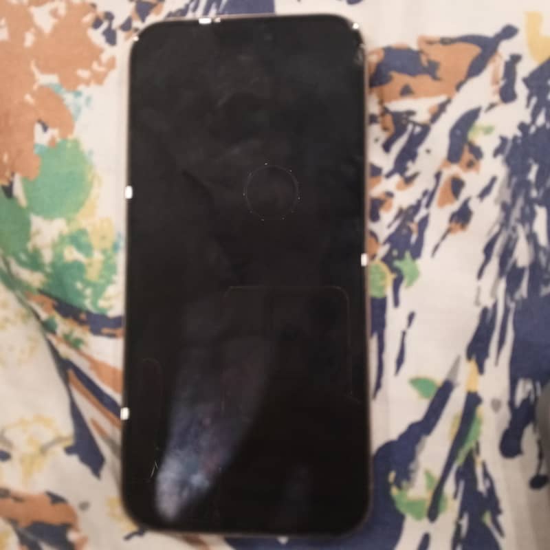 Apple iPhone 16 Pro Max 1