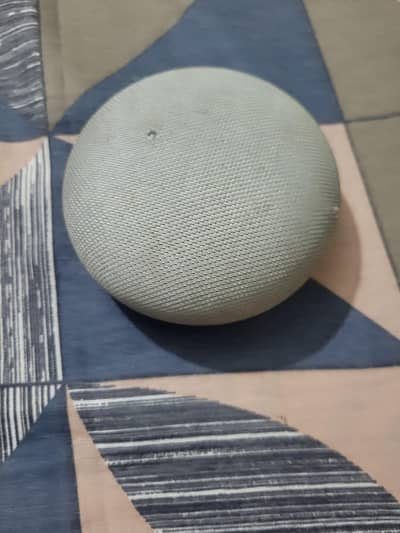 google home