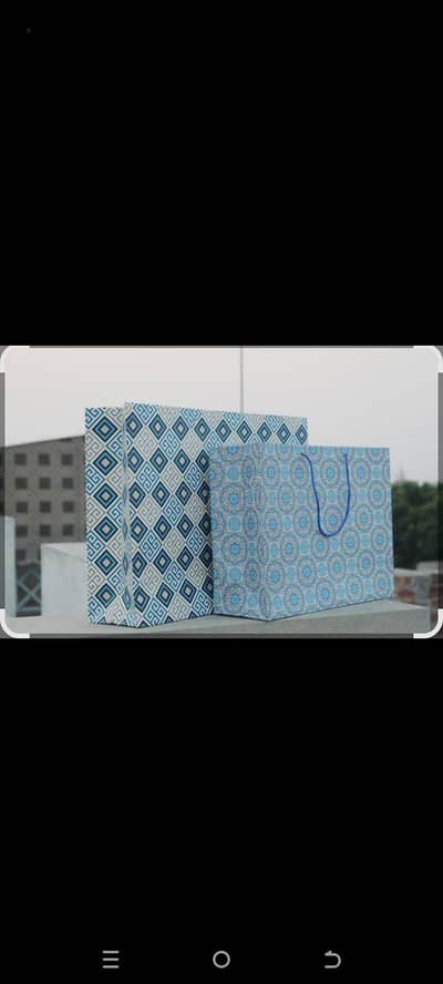 Hand bag