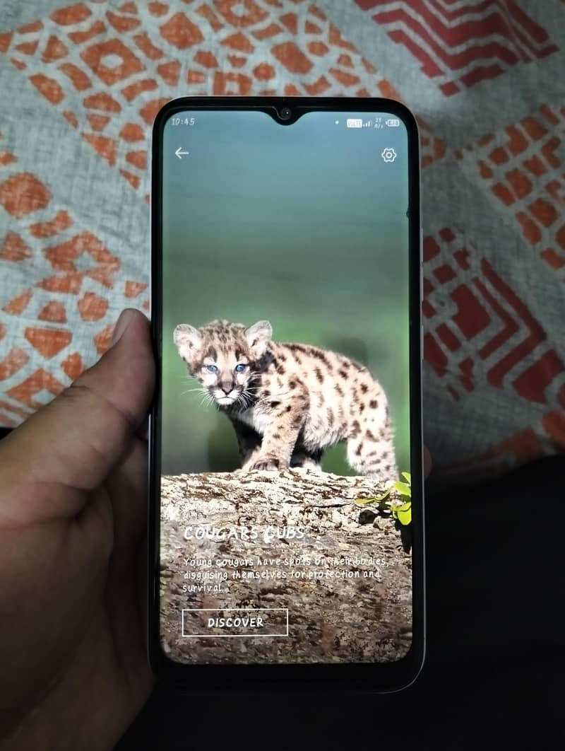 spark 6go 5