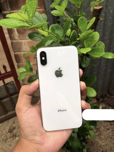 Apple iPhone X