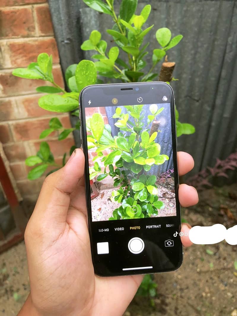 Apple iPhone X 1