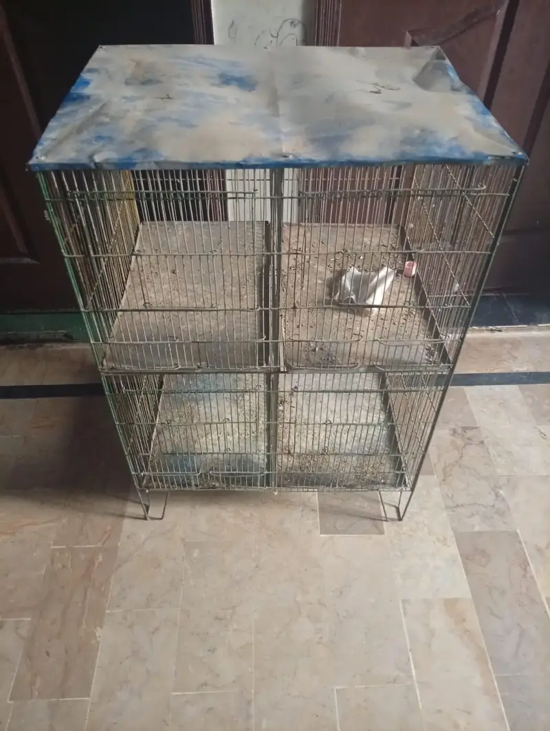 budgies parrot  cage 4 portion — photo 2