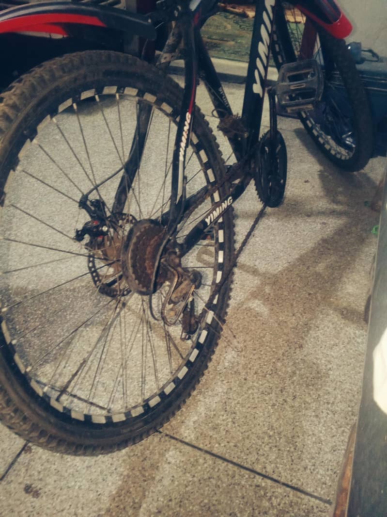 Bicycle 1