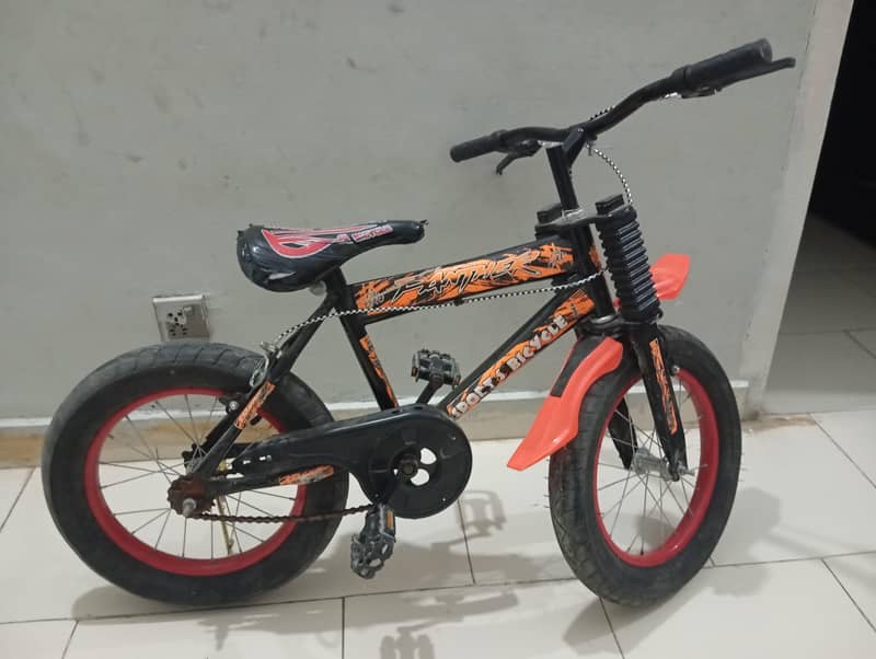 Bicycle 1