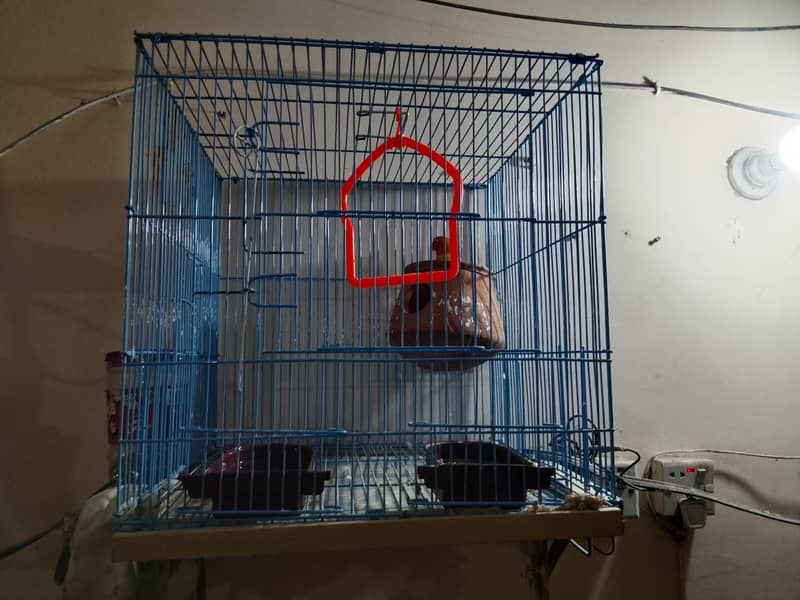 پنجرے. . . . . . . . . کے ساتھ  لو برڈ  کمپلیٹ سیٹ فور سیل 2