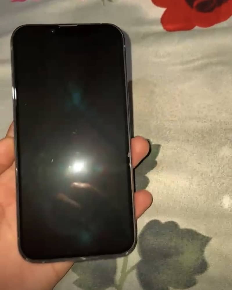 Apple iPhone 13 Pro 1