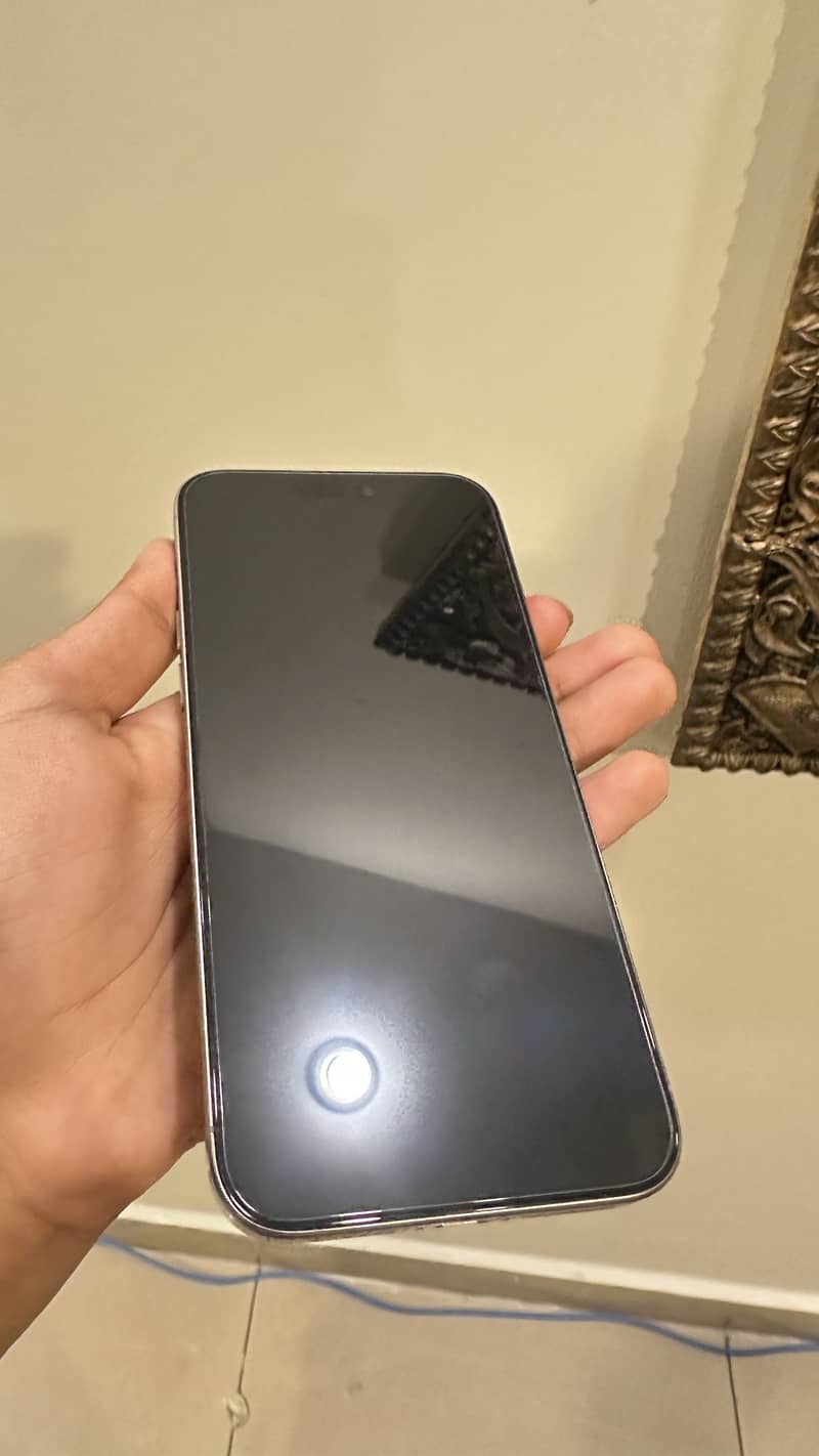 Apple iPhone 15 Pro Max 1