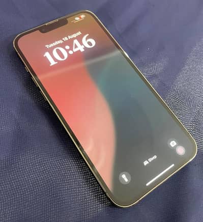 Apple iPhone 13 Pro Max