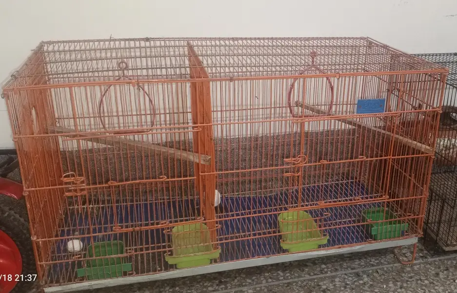 Used Bird Cages + Breeding Boxes + All Accessories For Sale — photo 2