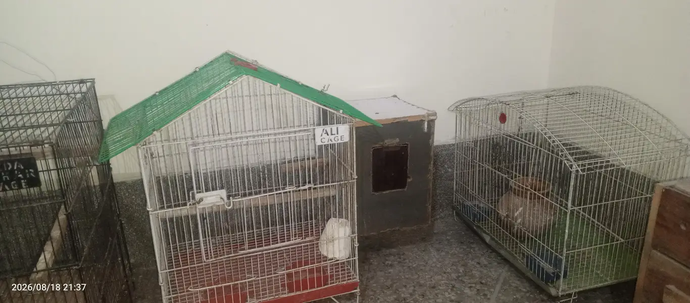 Used Bird Cages + Breeding Boxes + All Accessories For Sale — photo 3