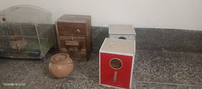 Used Bird Cages + Breeding Boxes + All Accessories For Sale